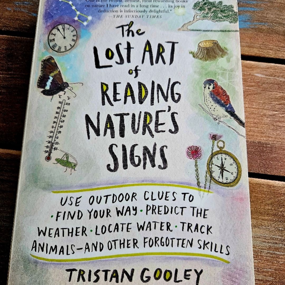 The Lost Art of Reading Nature's Signs