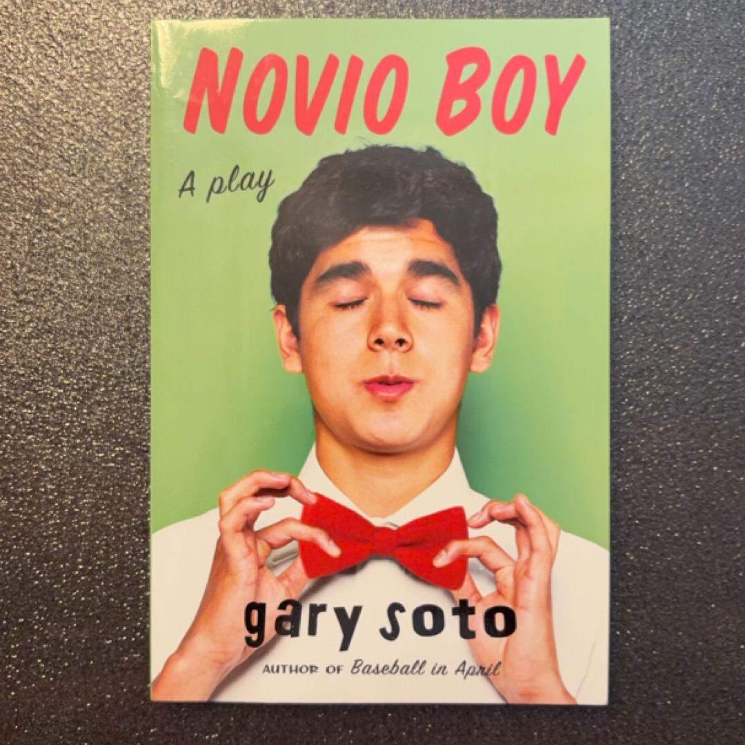 Novio Boy