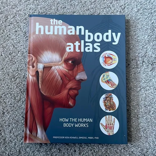 The Human Body Atlas
