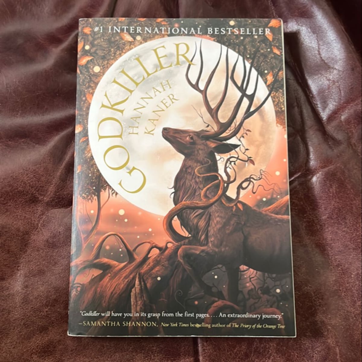 Godkiller by Hannah Kaner, Paperback | Pangobooks