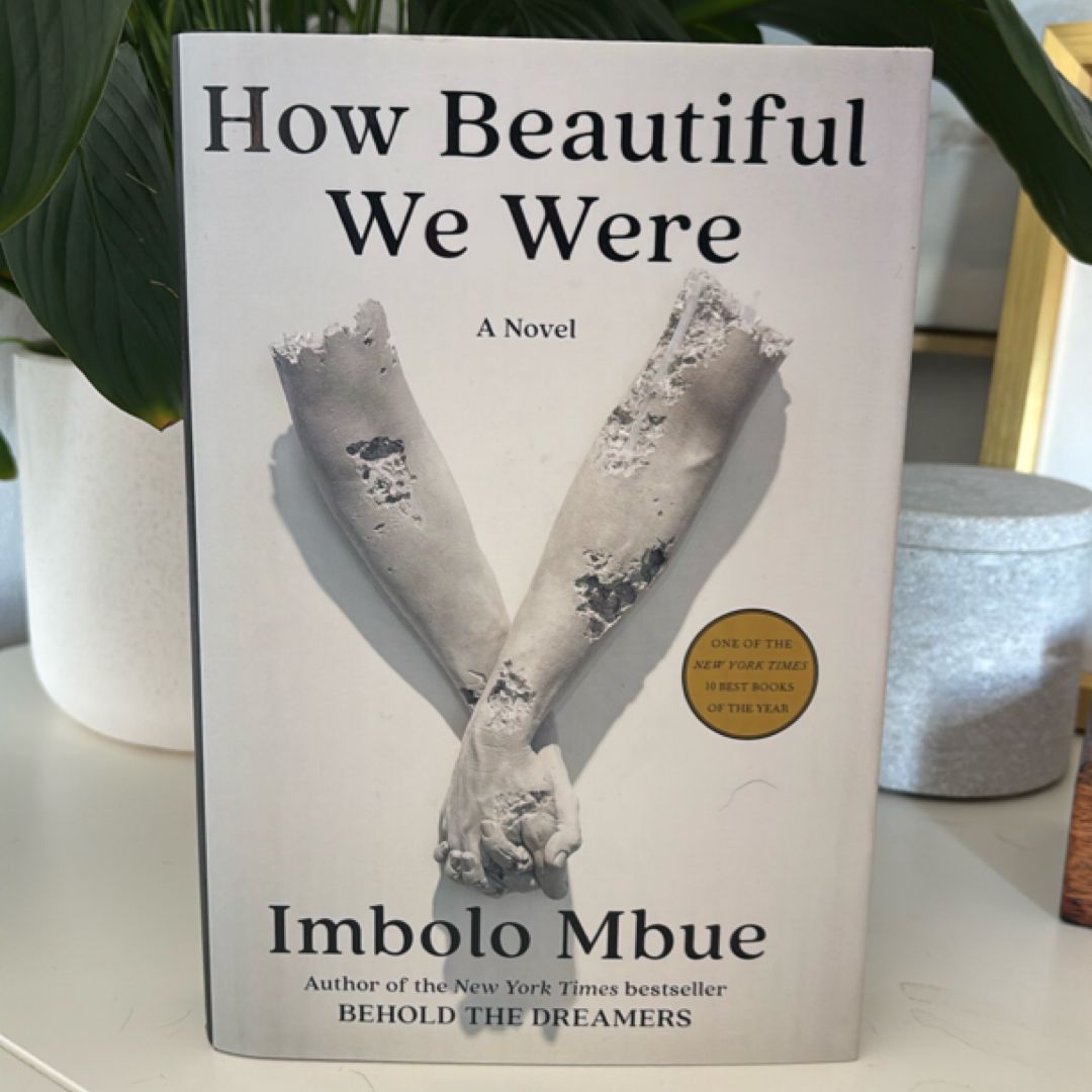 How Beautiful We Were