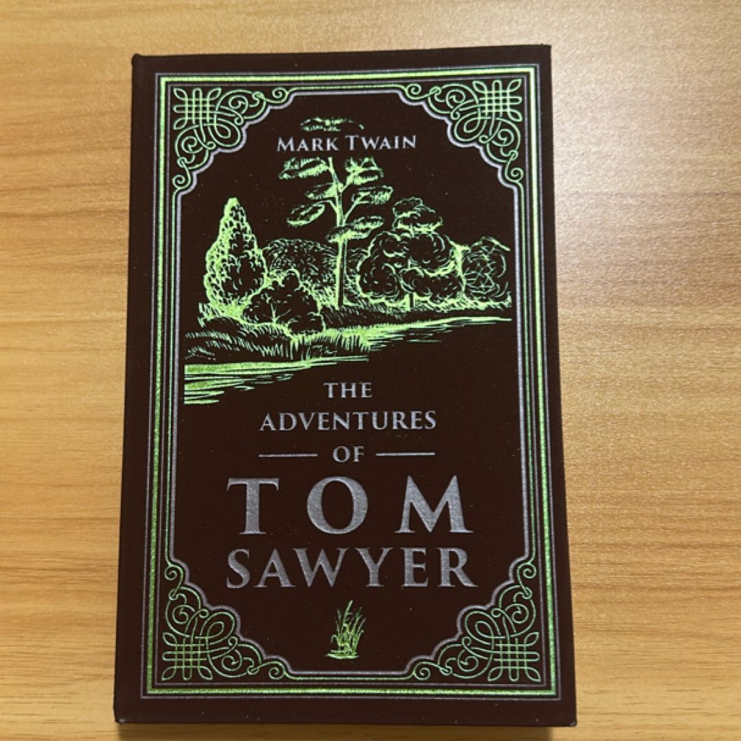The Adventures of Tom Sayer