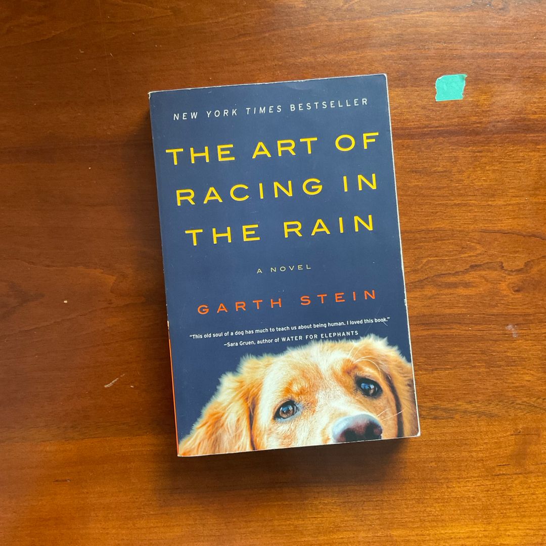 The Art of Racing in the Rain