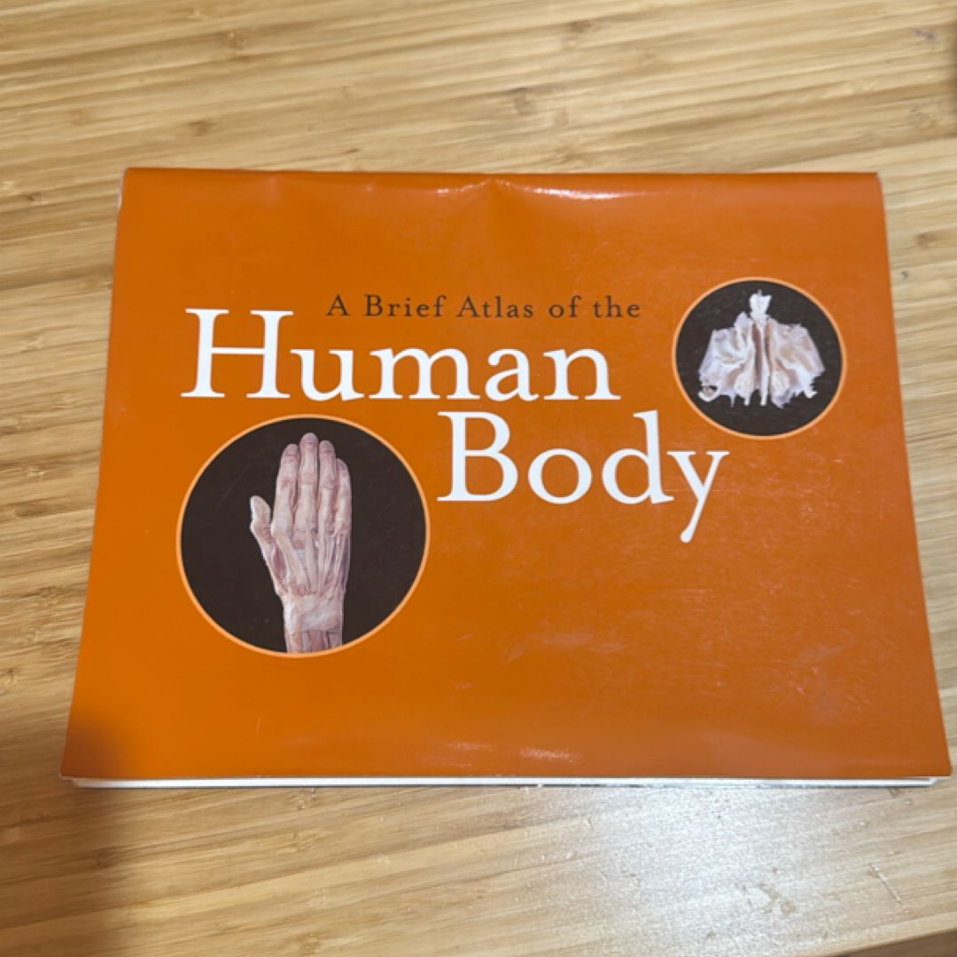 A Brief Atlas of the Human Body