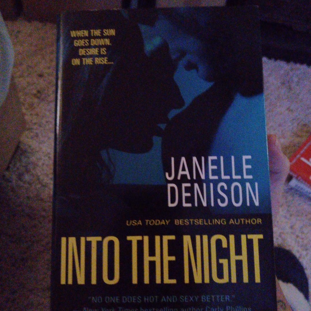Into The Night (Hardcover)