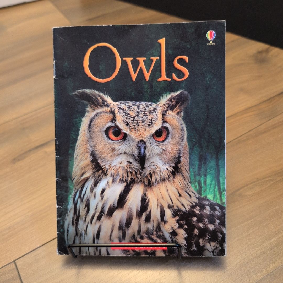 Owls