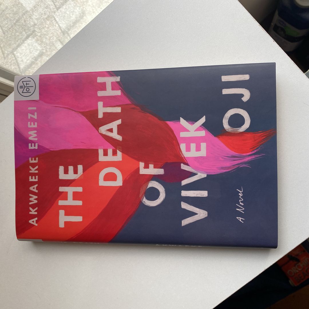 The Death of Vivek Oji