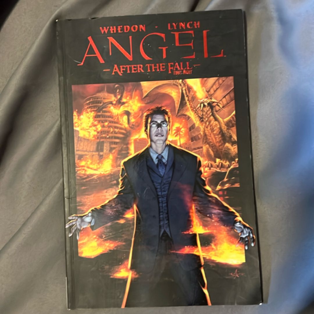 Angel: after the Fall, Vol. 2 - First Night