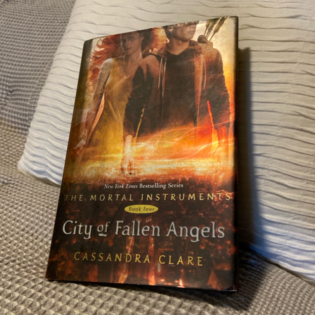 City of Fallen Angels