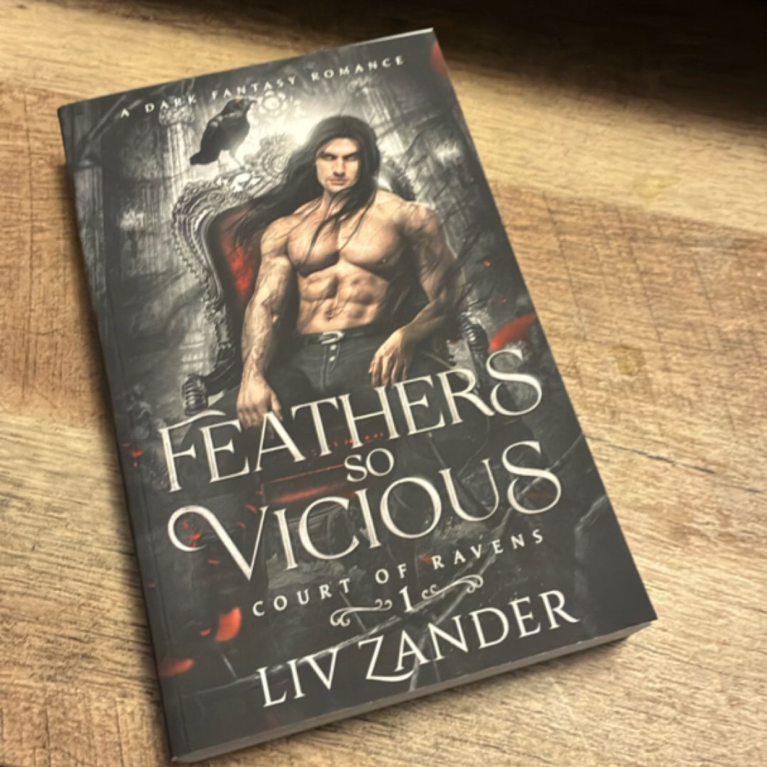 Feathers So Vicious: a Dark Fantasy Romance