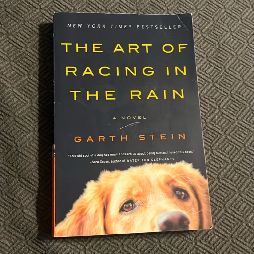 The Art of Racing in the Rain