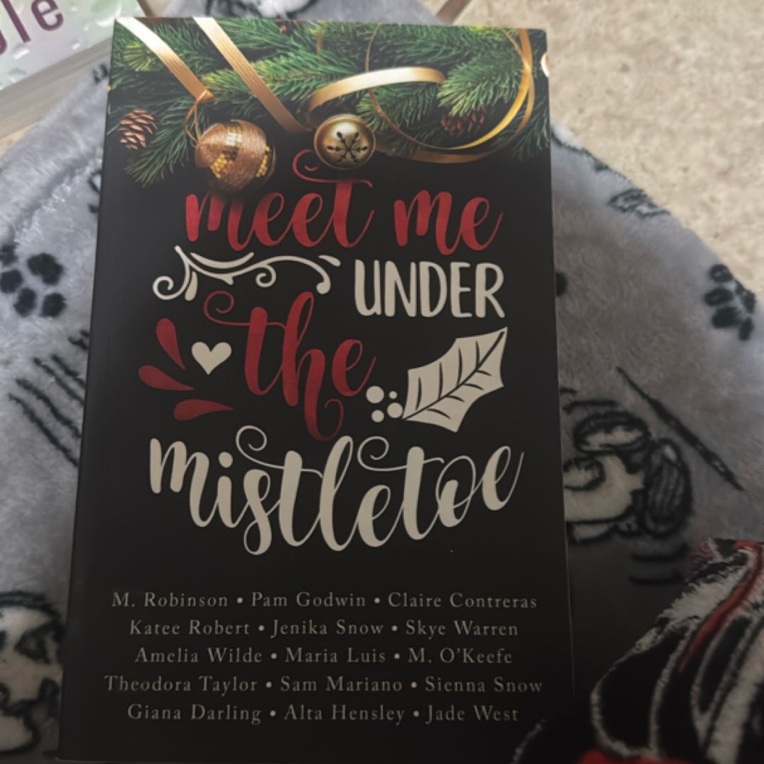 Meet Me under the Mistletoe