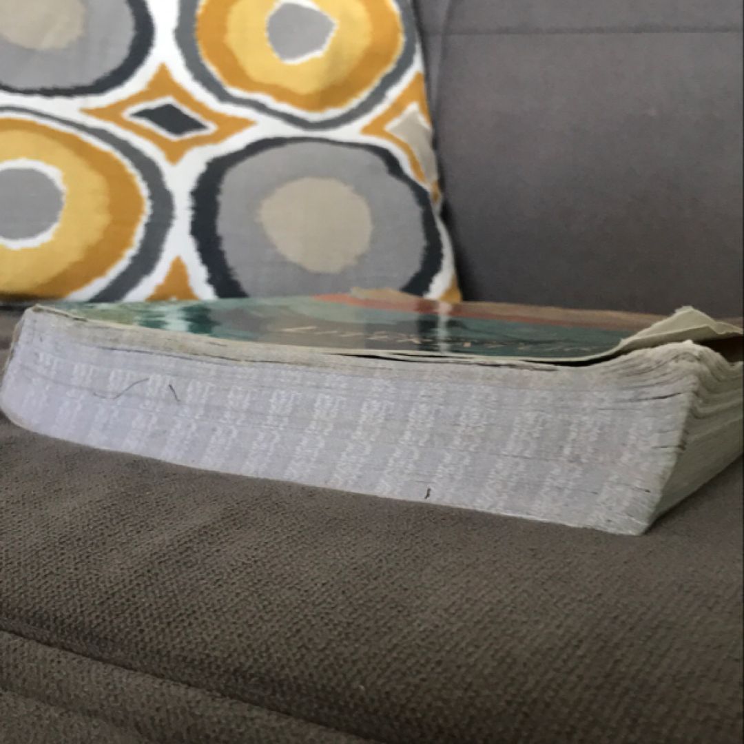 Excursions in Literature, Student Worktext