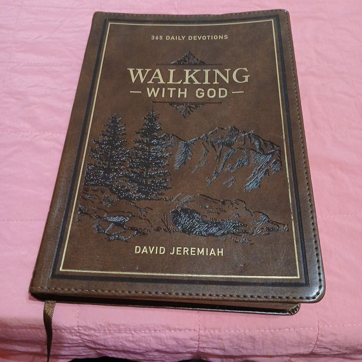 Devotional Walking with God Large Print by David Jeremiah