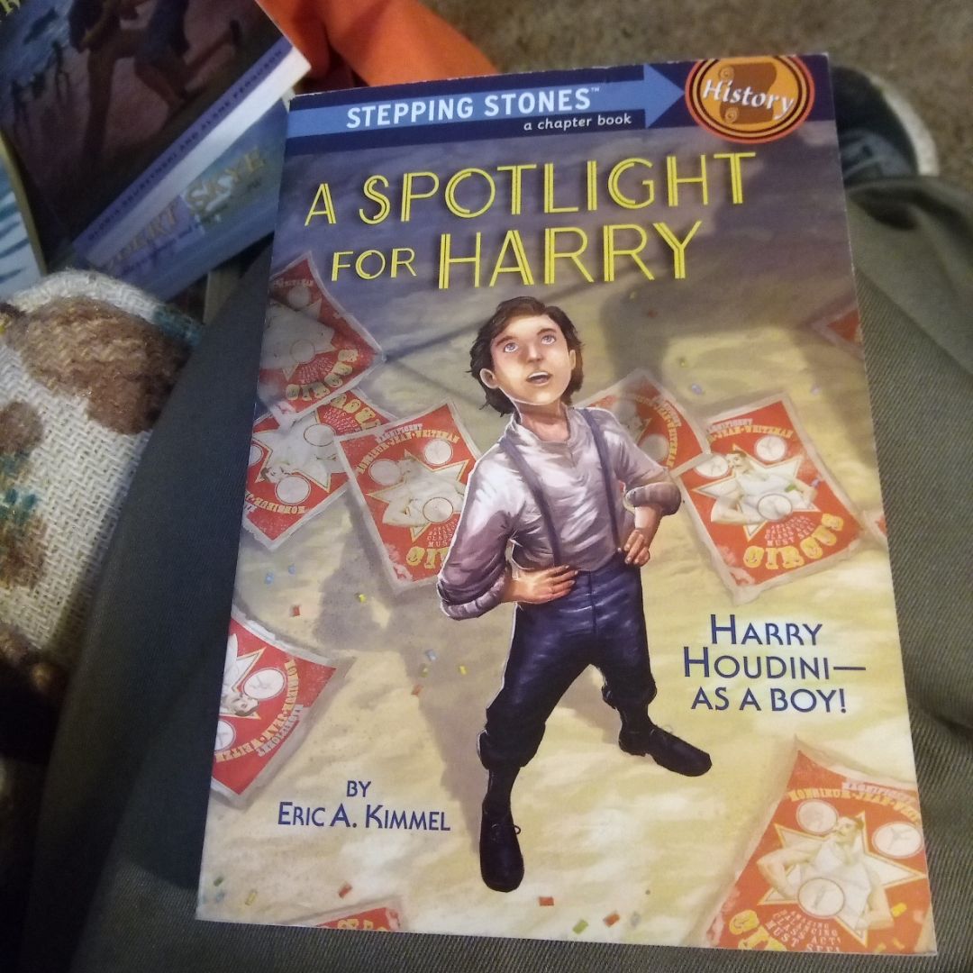 A Spotlight for Harry