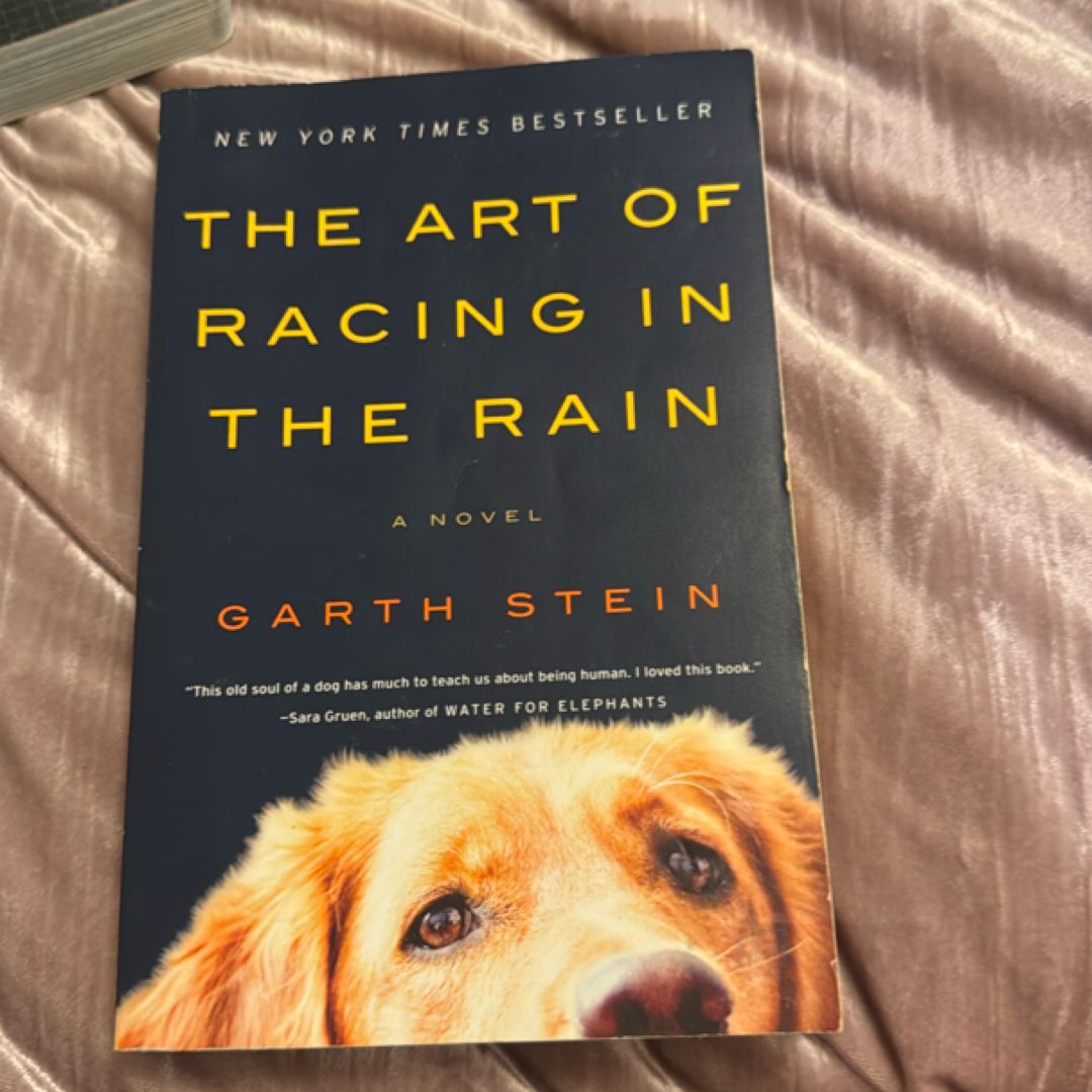 The Art of Racing in the Rain