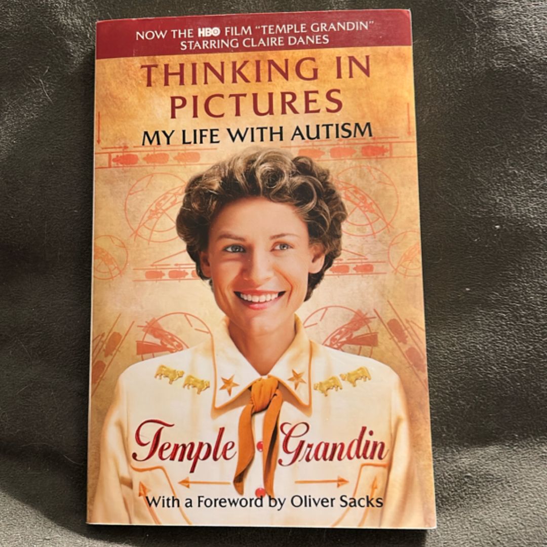 Thinking in Pictures