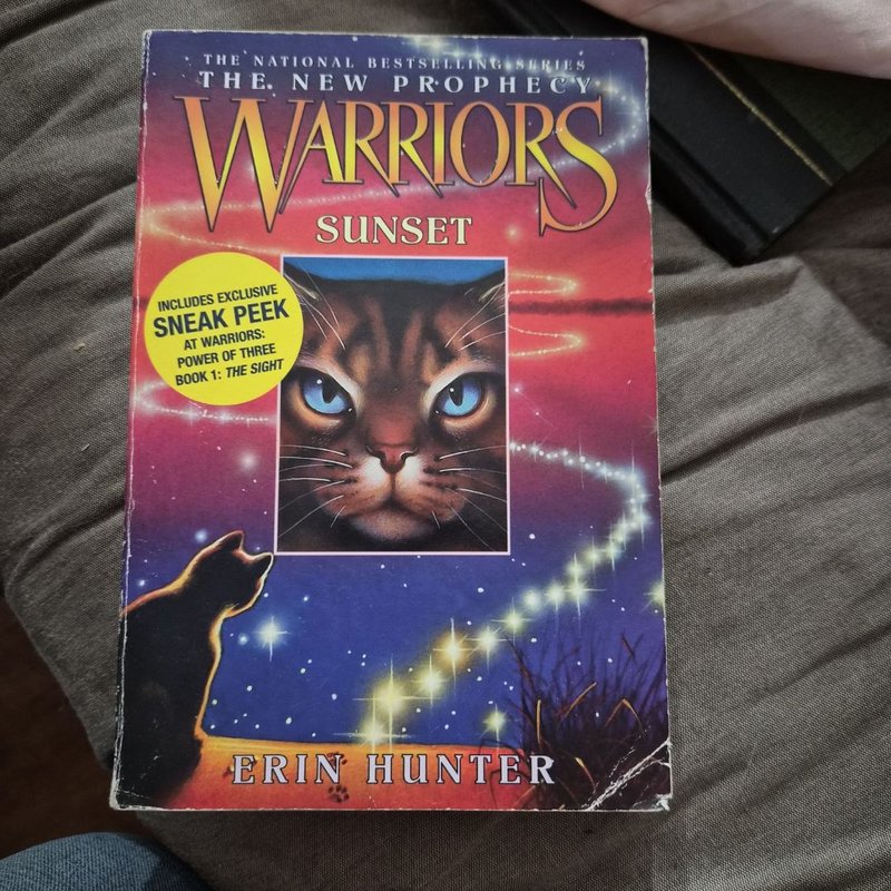 Warriors: the New Prophecy #6: Sunset