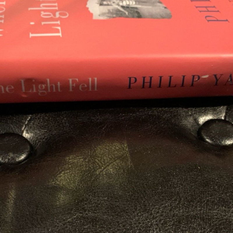 Where the Light Fell