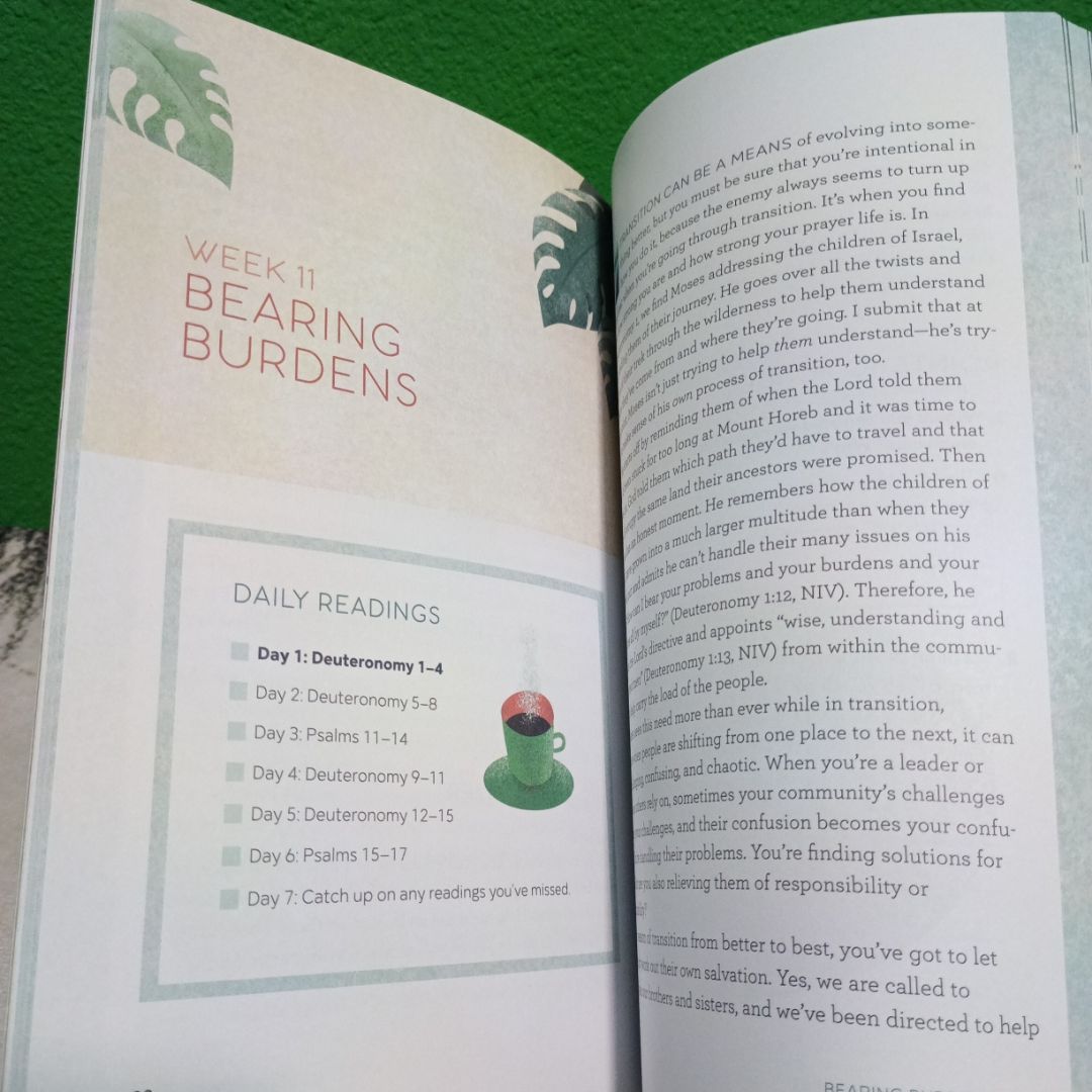 The Bible in 52 Weeks
