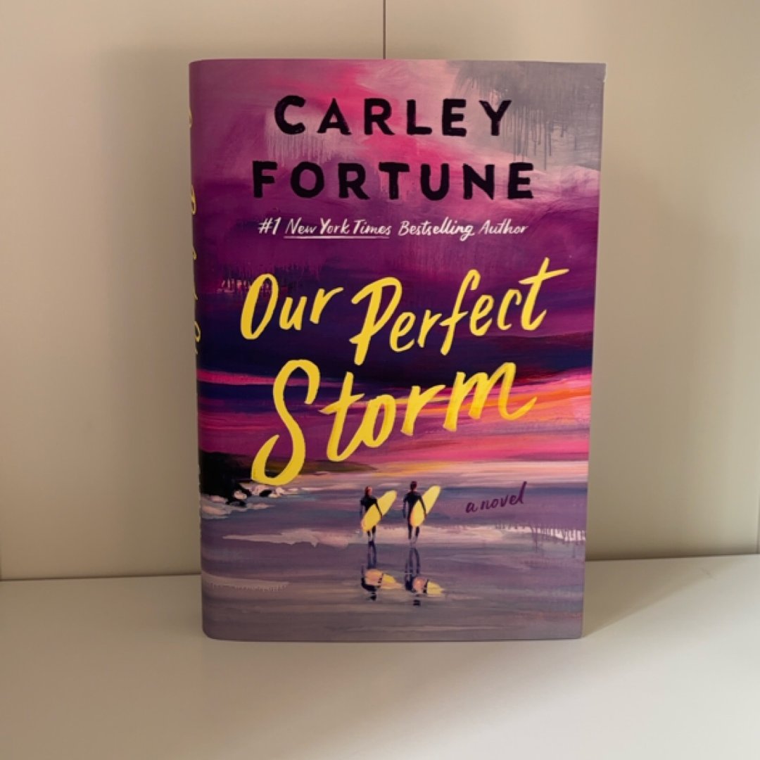 Our Perfect Storm