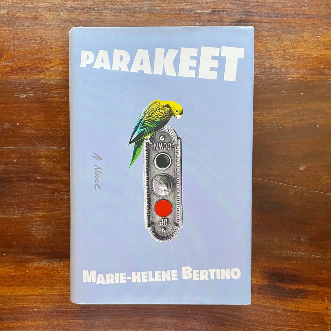 Parakeet