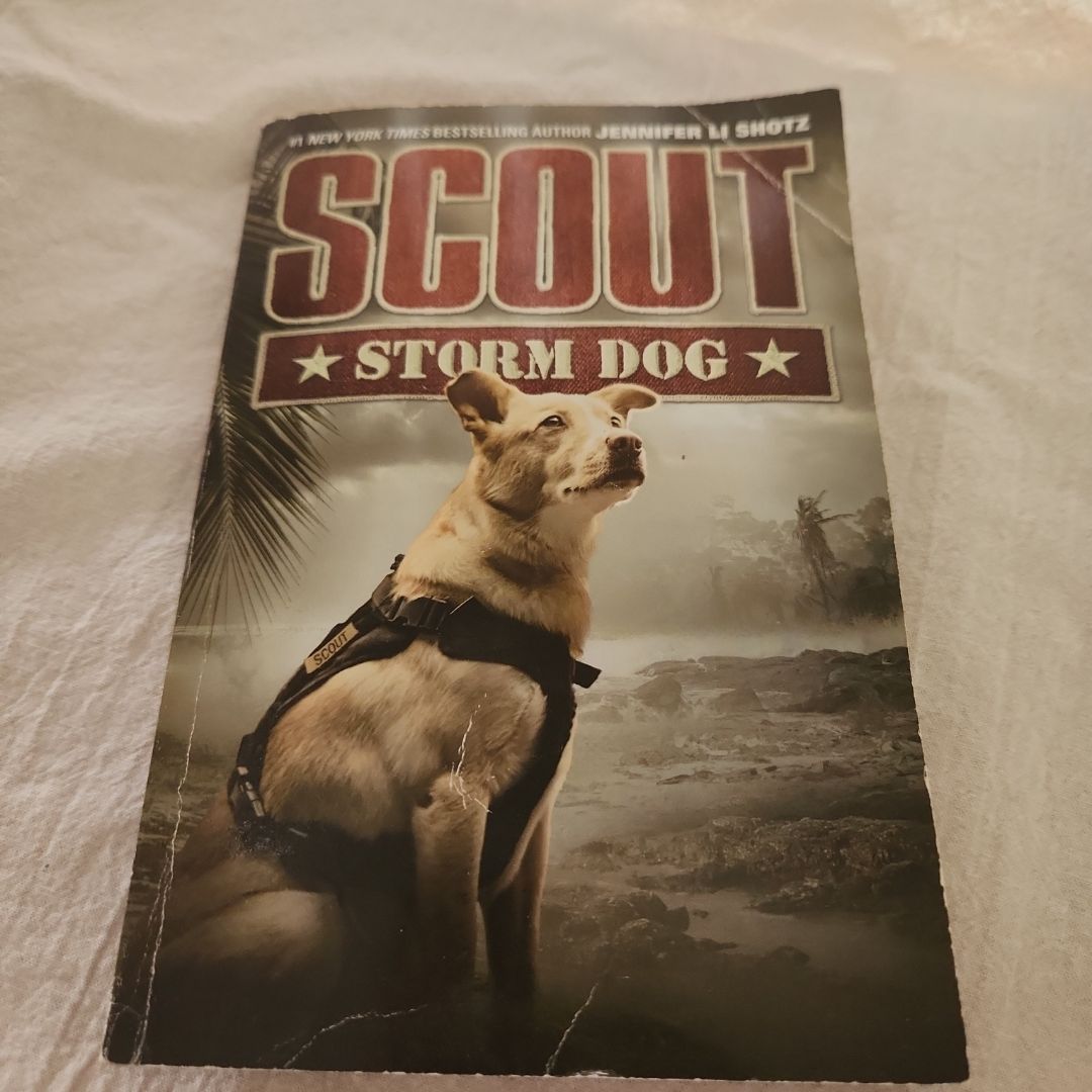 Scout: Storm Dog