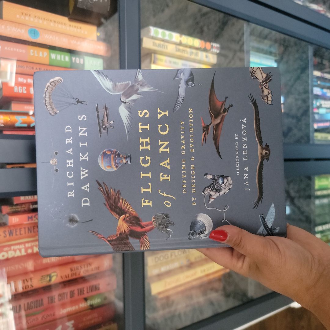 Flights of Fancy