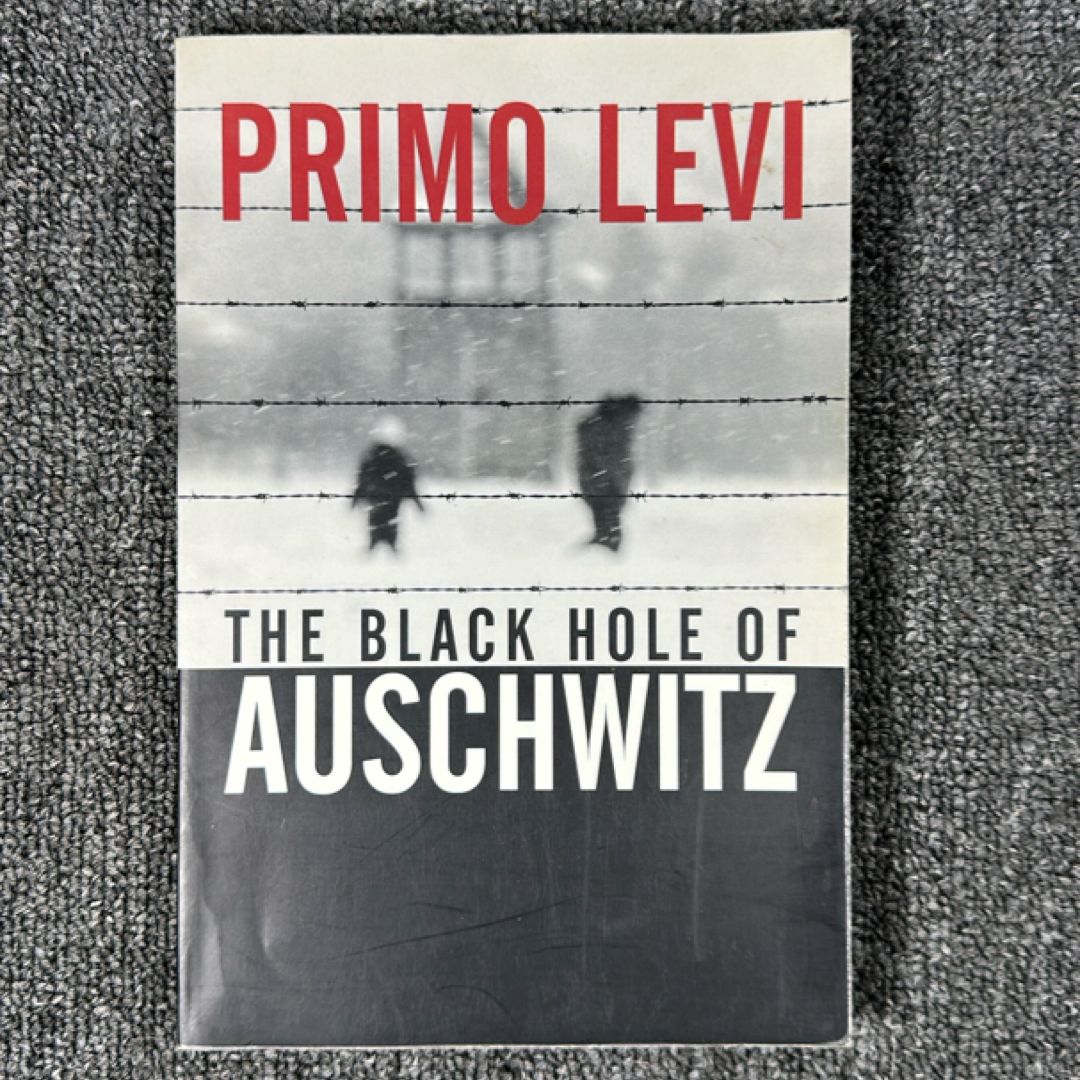 The Black Hole of Auschwitz