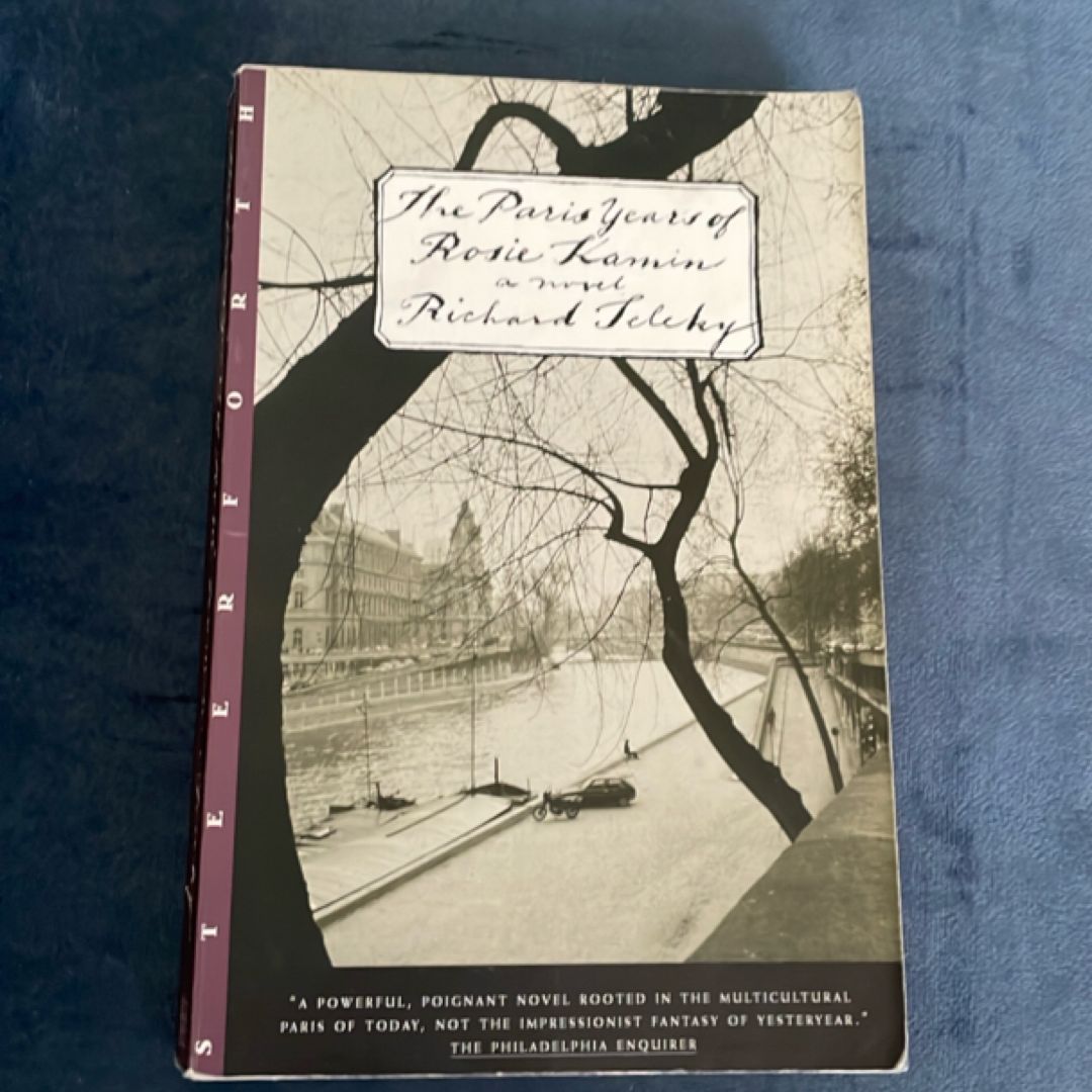 The Paris Years of Rosie Kamin