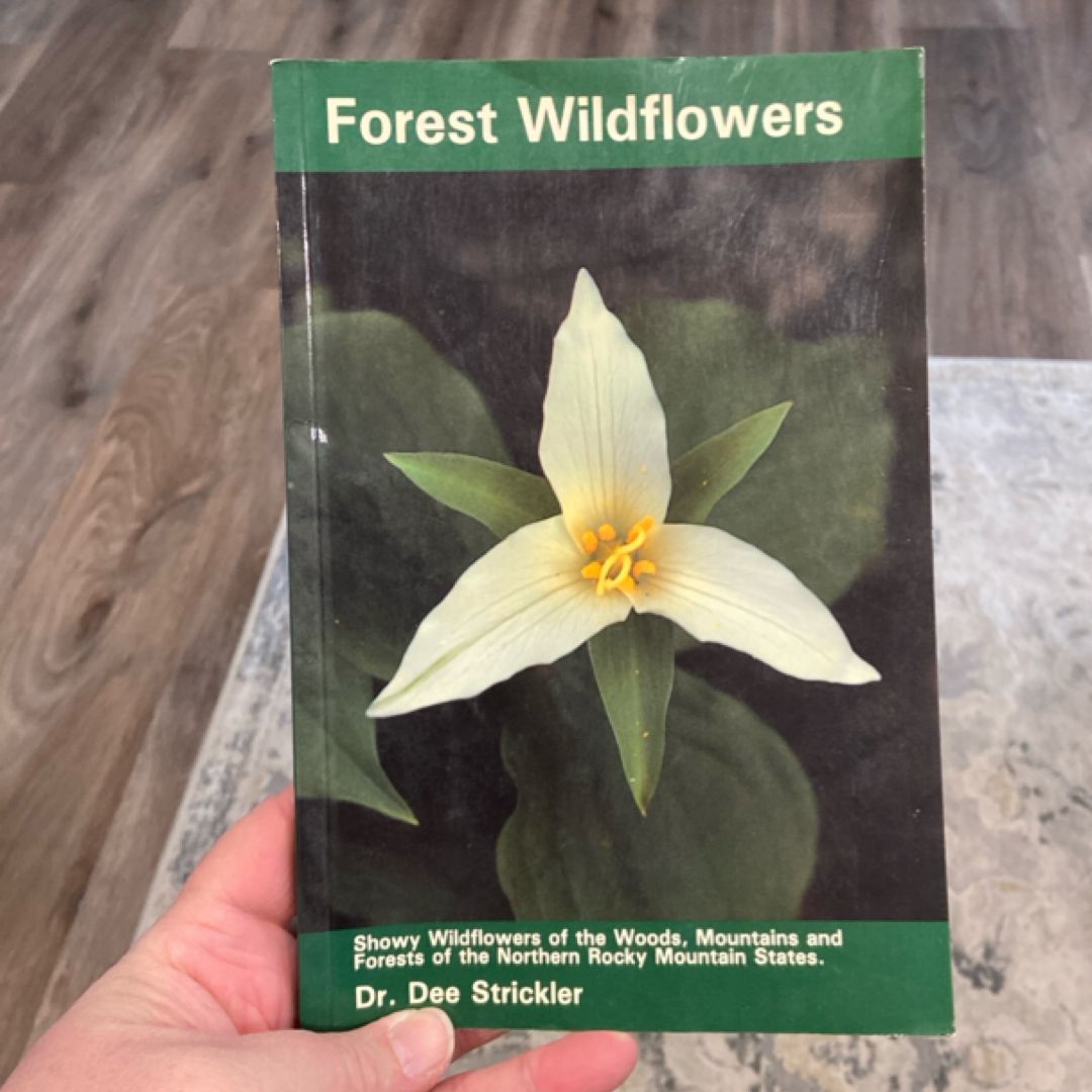 Forest Wildflowers