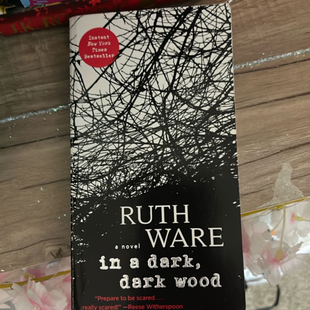 In a Dark, Dark Wood