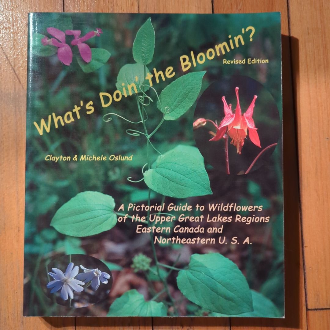 What's Doin' the Bloomin'?