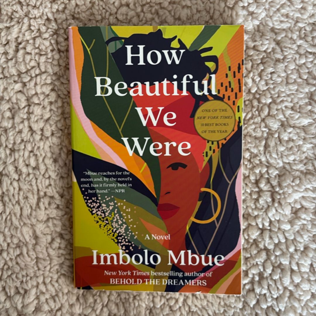 How Beautiful We Were