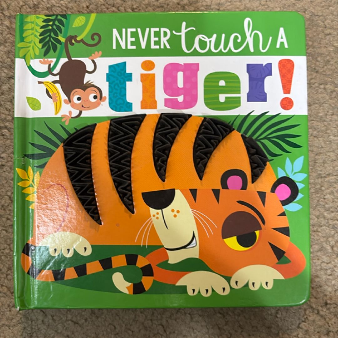 Rosie Greening Never Touch a Porcupine Board Book, Woodland Animals, Touch-and-Feel for Babies and Toddlers