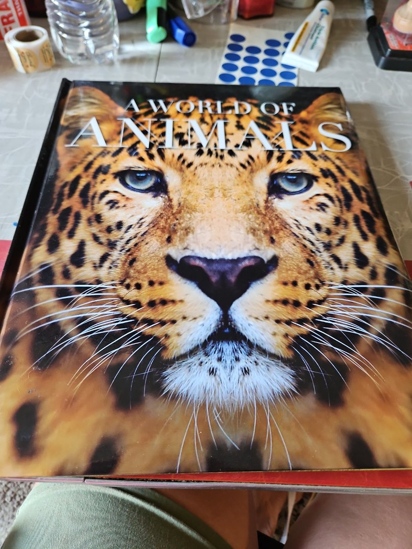 A World of Animals