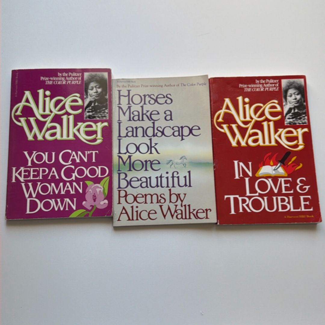 Alice Walker bundle of books