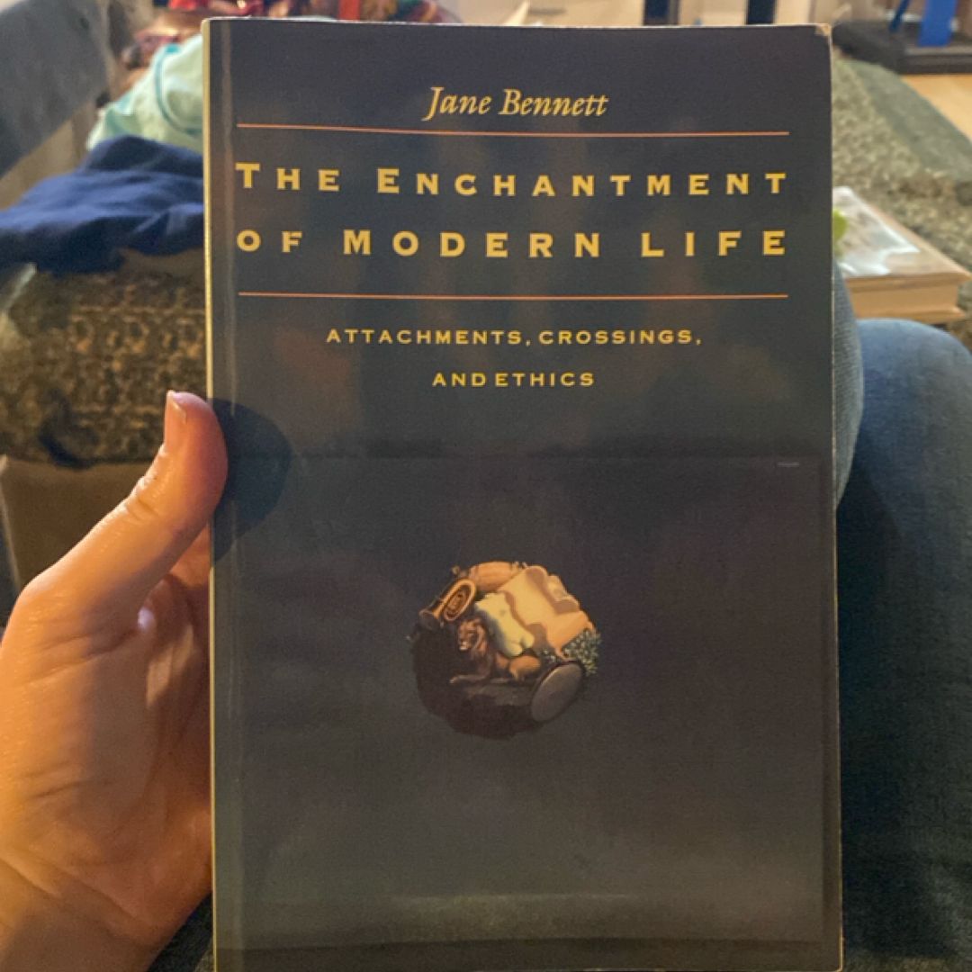 The Enchantment of Modern Life