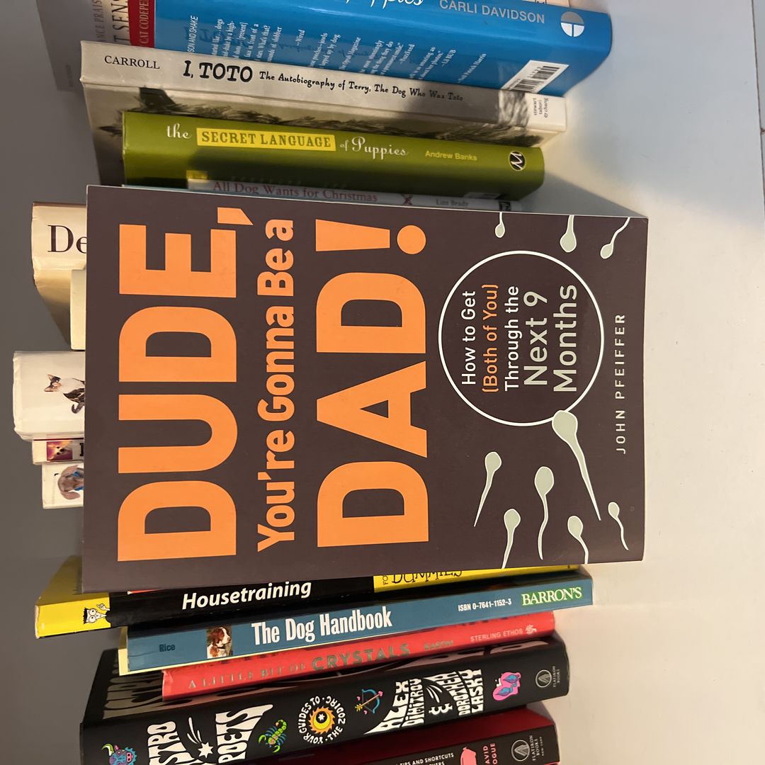 Dude, You're Gonna Be a Dad!