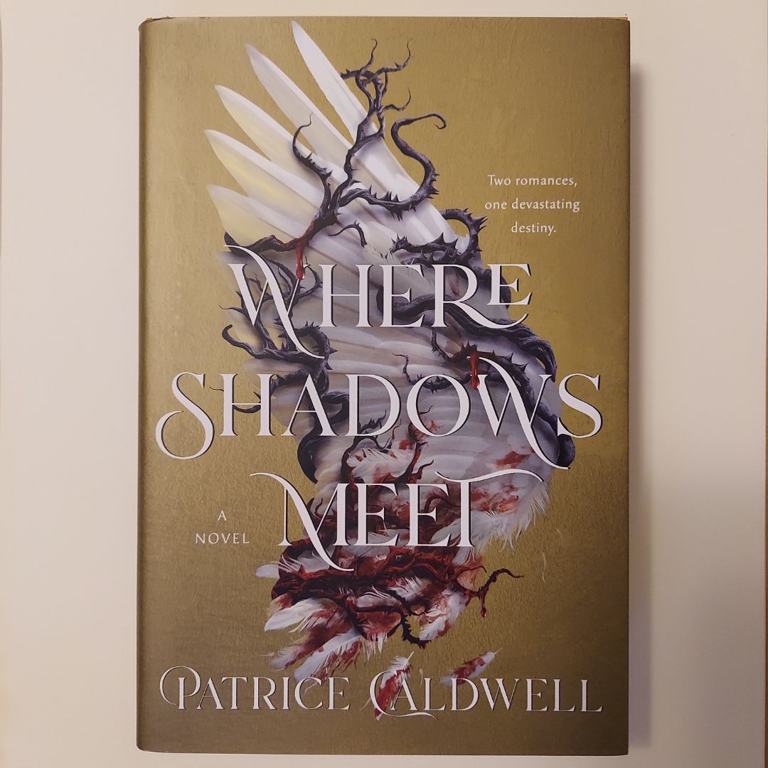 Where Shadows Meet