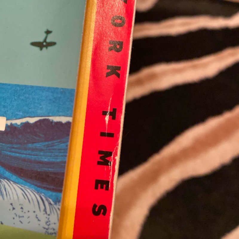 A Tale for the Time Being