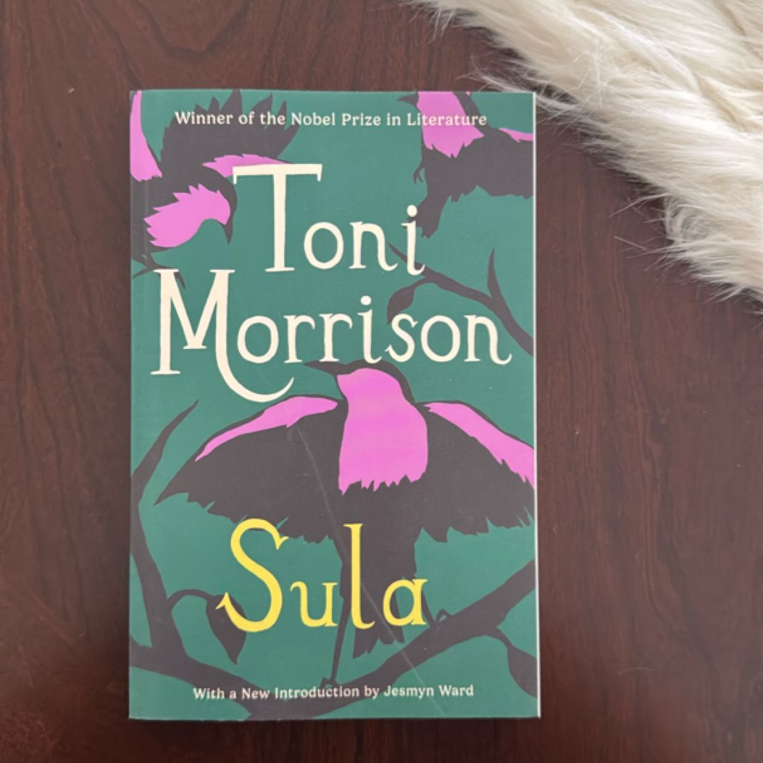 Sula