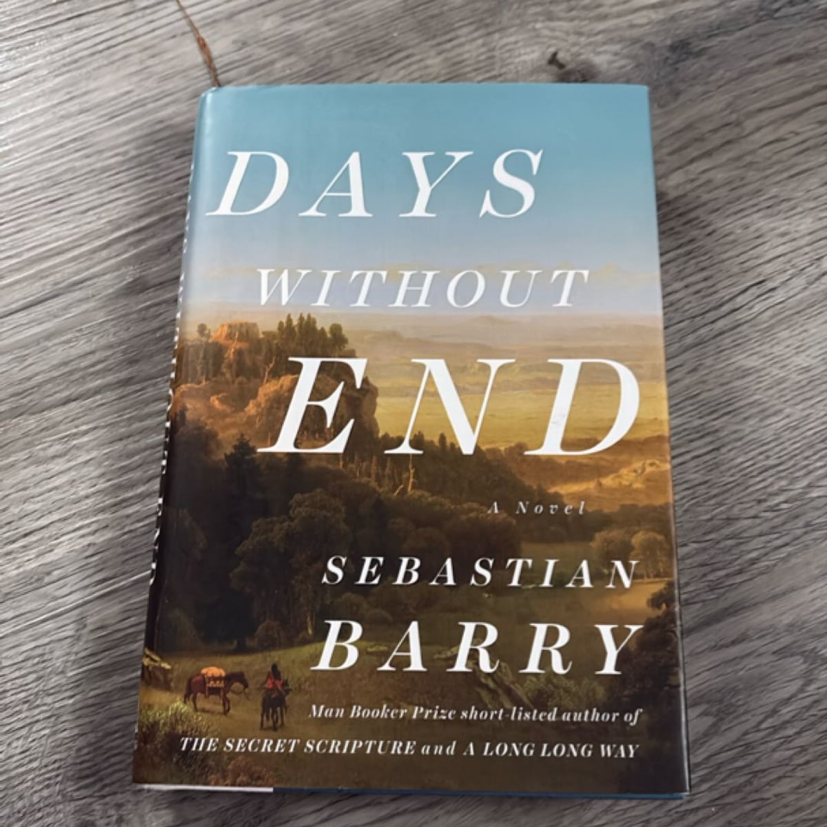 Days Without End by Sebastian Barry