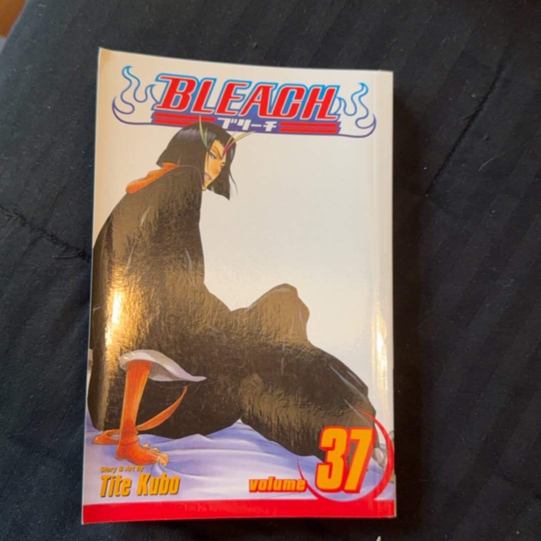 Bleach, Vol. 37