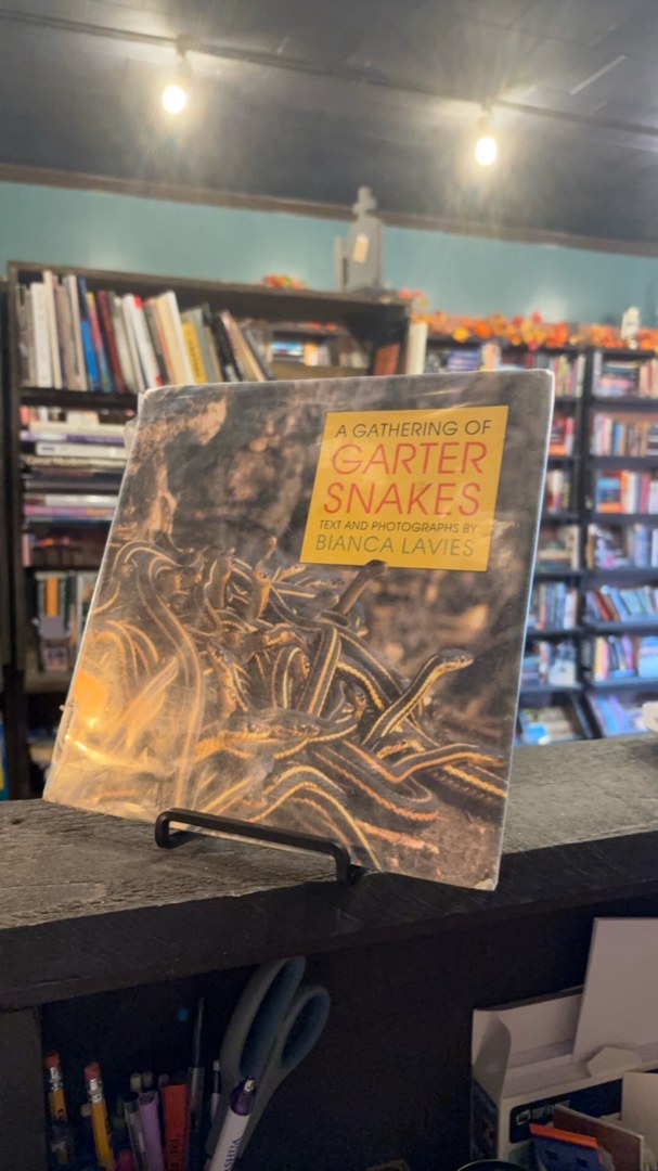A Gathering of Garter Snakes