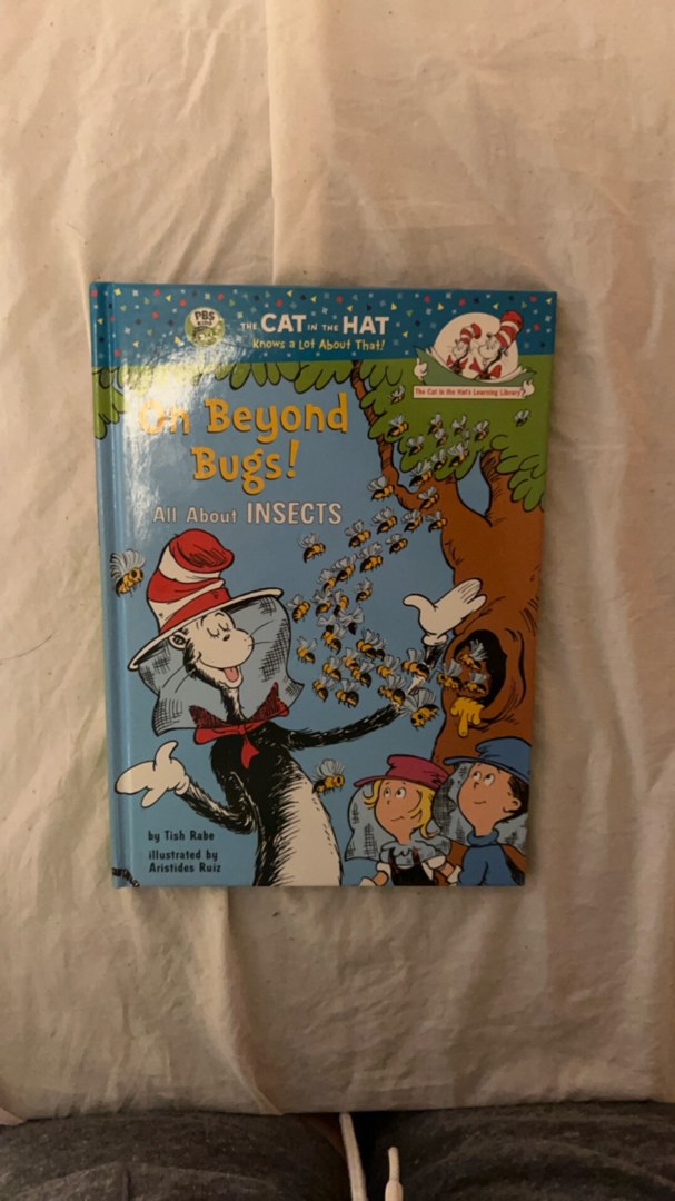On Beyond Bugs