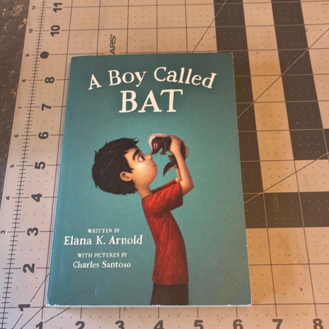 A Boy Called Bat