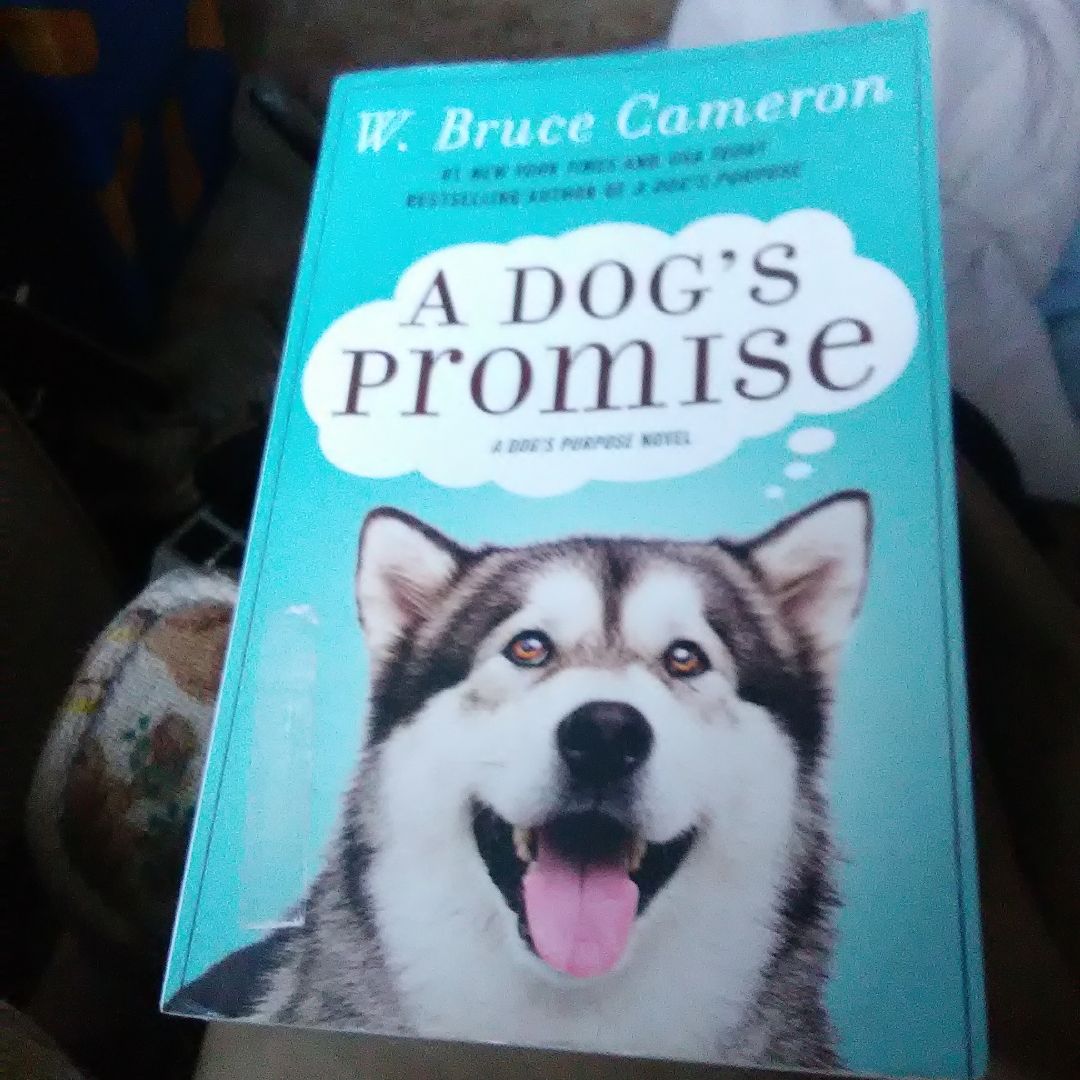 A Dog's Promise