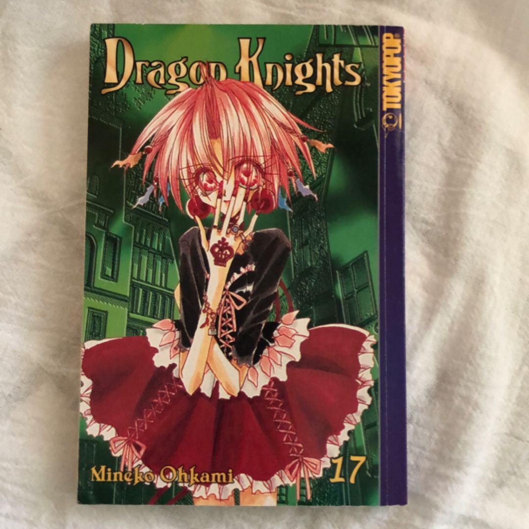 Dragon Knights 17