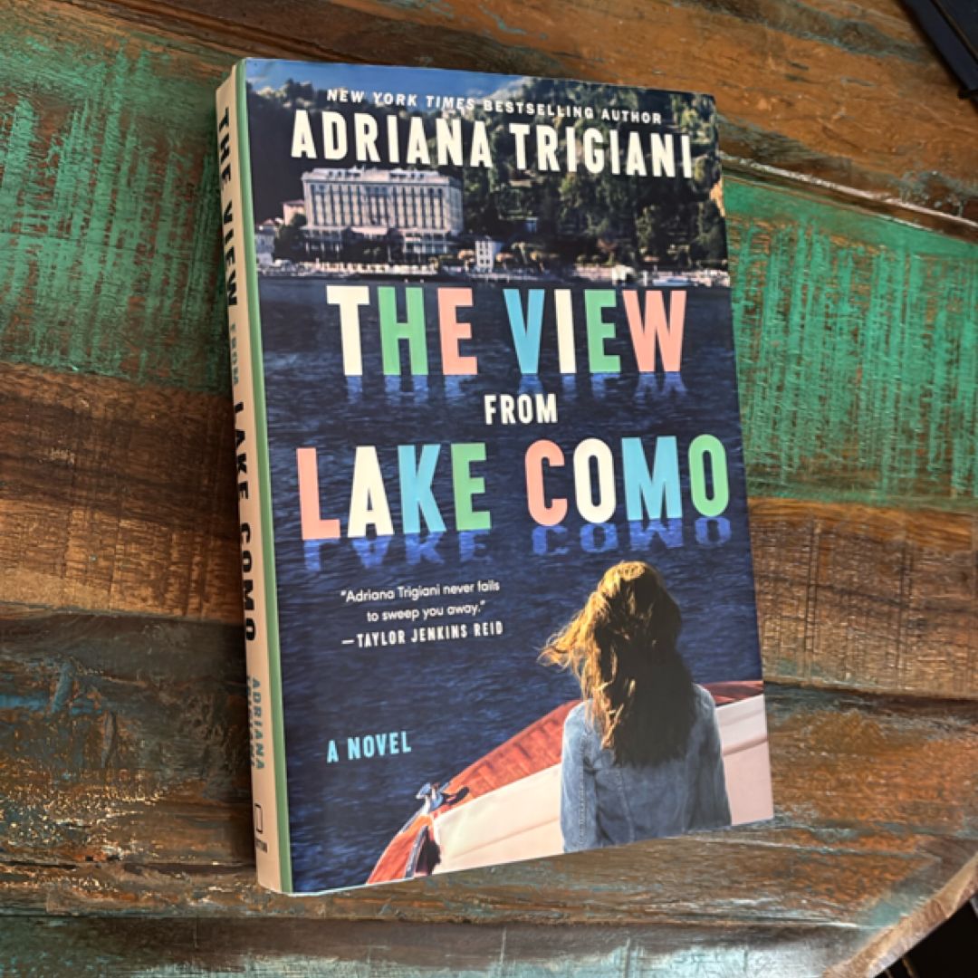 The View from Lake Como